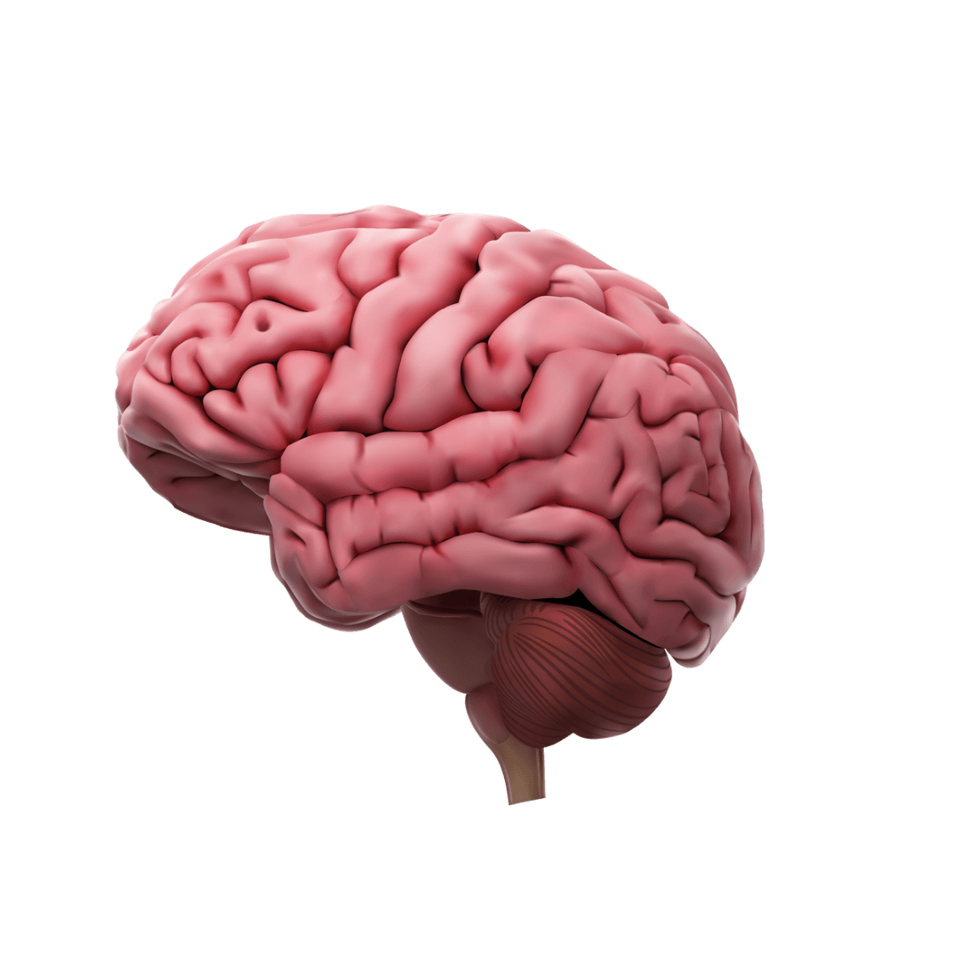 202505141637250000_m0mjm_1080