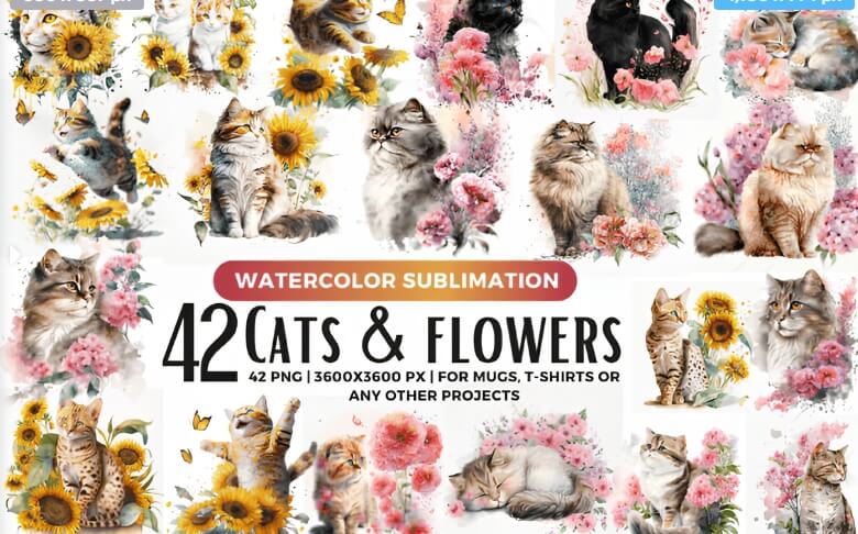 Screenshot21102024104439www_u0mdg_780