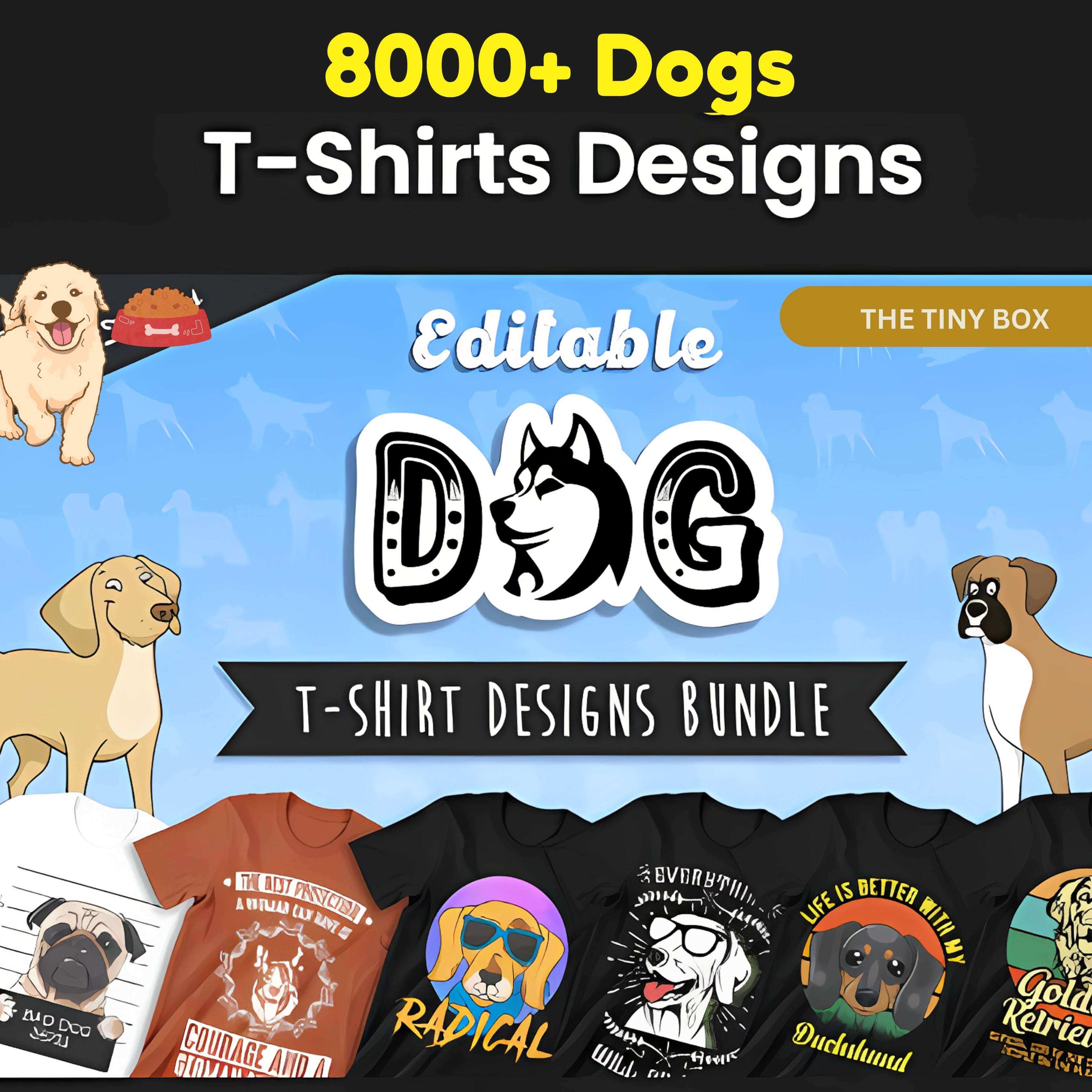 10000088911735362960_c1nze_3375