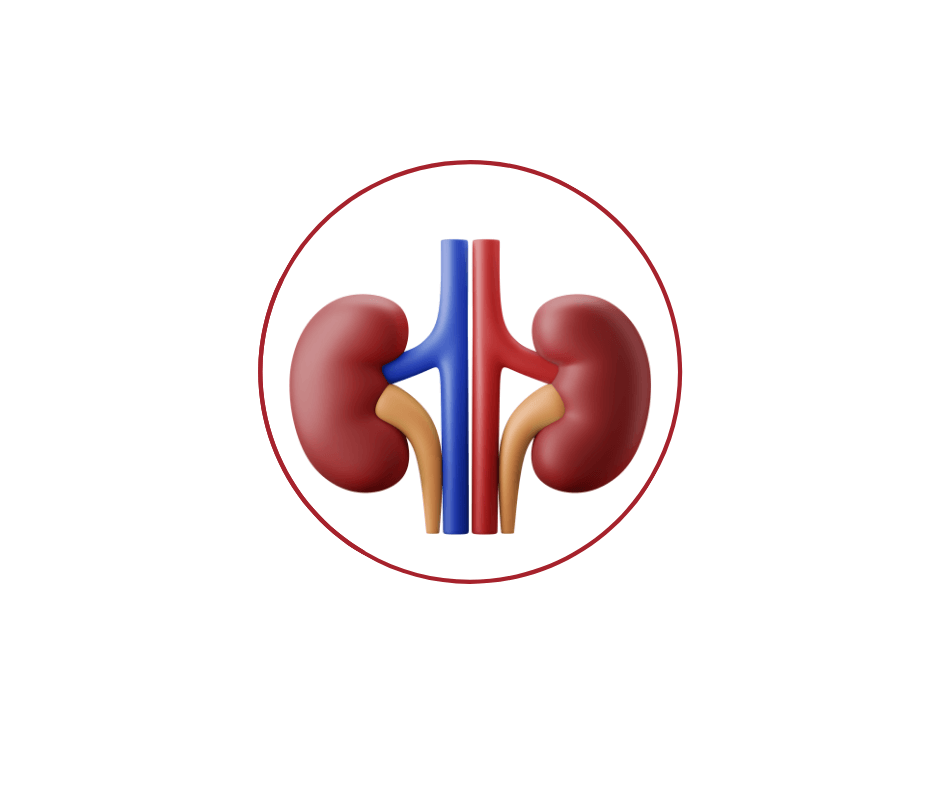 Modern3DWorldKidneyDayFacebookPost_g5ndq_940