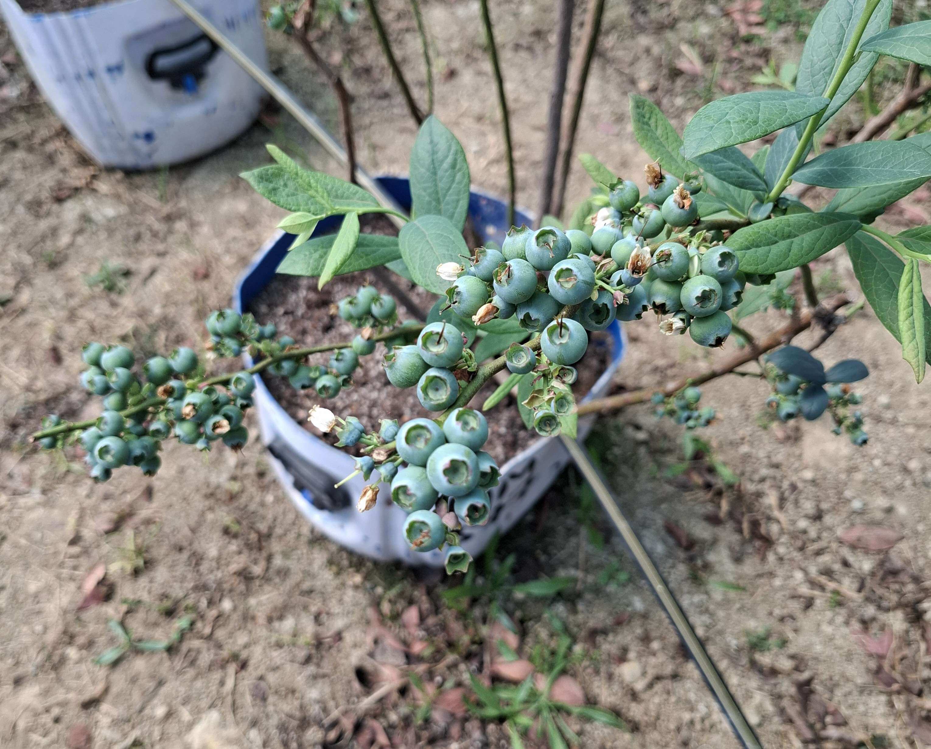 20250322112854_qwnjq_3060