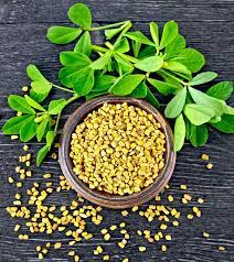 Fenugreek Fenugreek