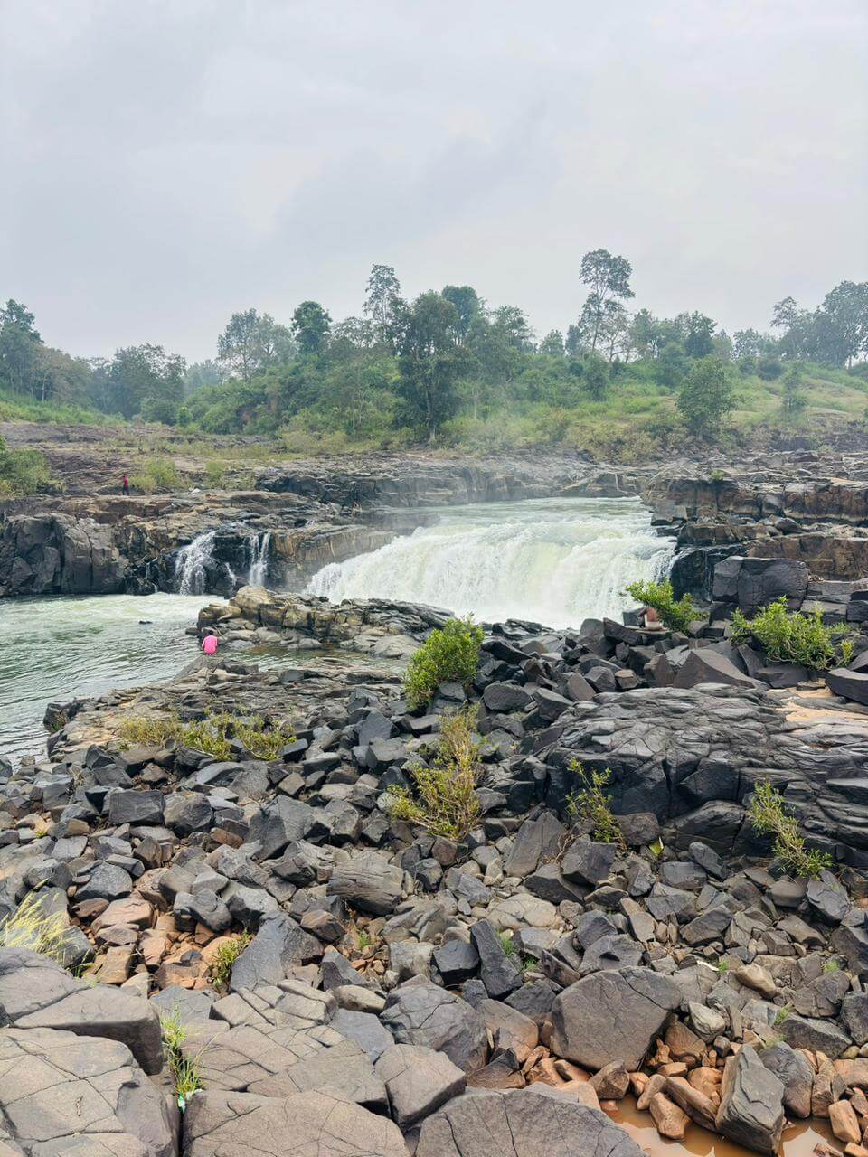 WhatsAppImage20251229at8