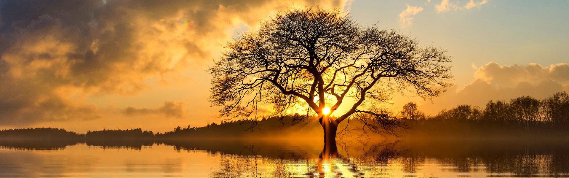 hospitalimage_mynjq_1920