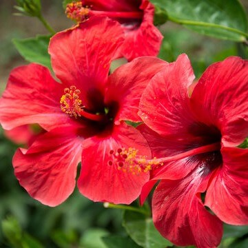 360F211801149zipORH1KyVj4p8T4QoGjJGF9AC8HBJ01_yxnjk_360