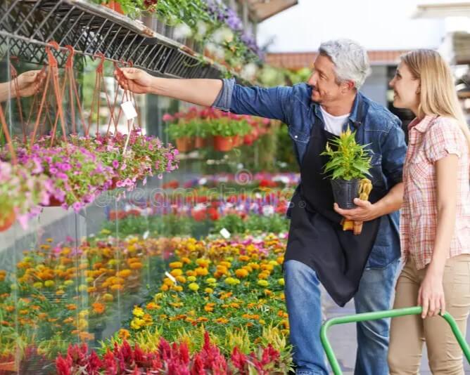 gardenerfrontnurseryshophelpingwomanwomenchoosingrightflower50575845_k4mzi_668