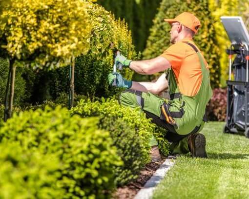 istockphoto1166203849612x612_uzndu_510