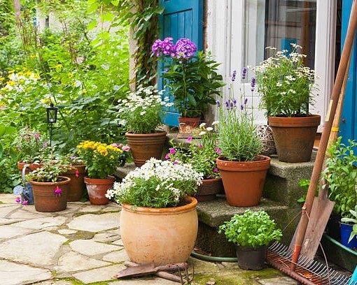 istockphoto482987325612x612_azmdm_510