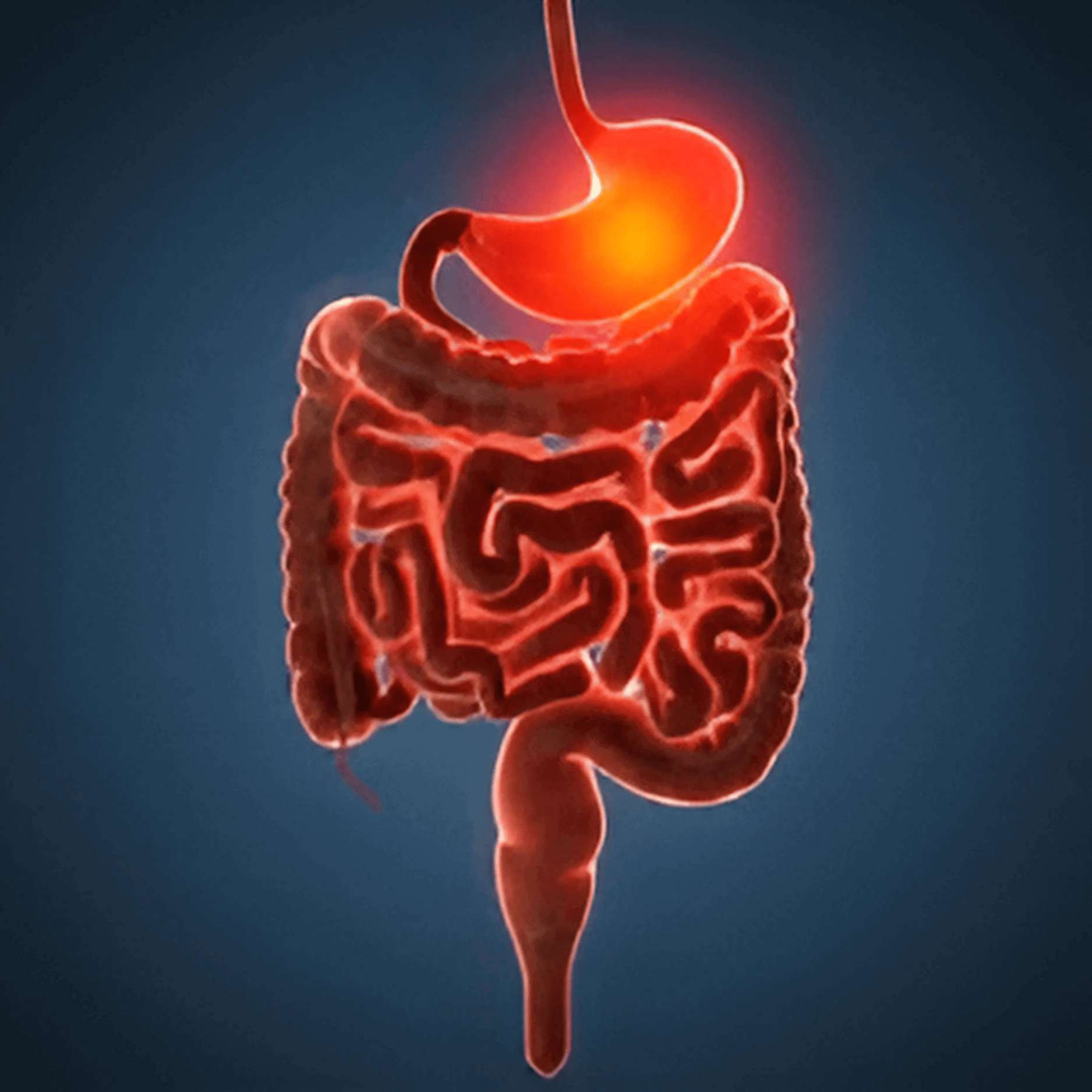 101010_y1nzm_undefined