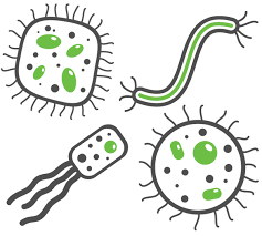 infections_mynji_237