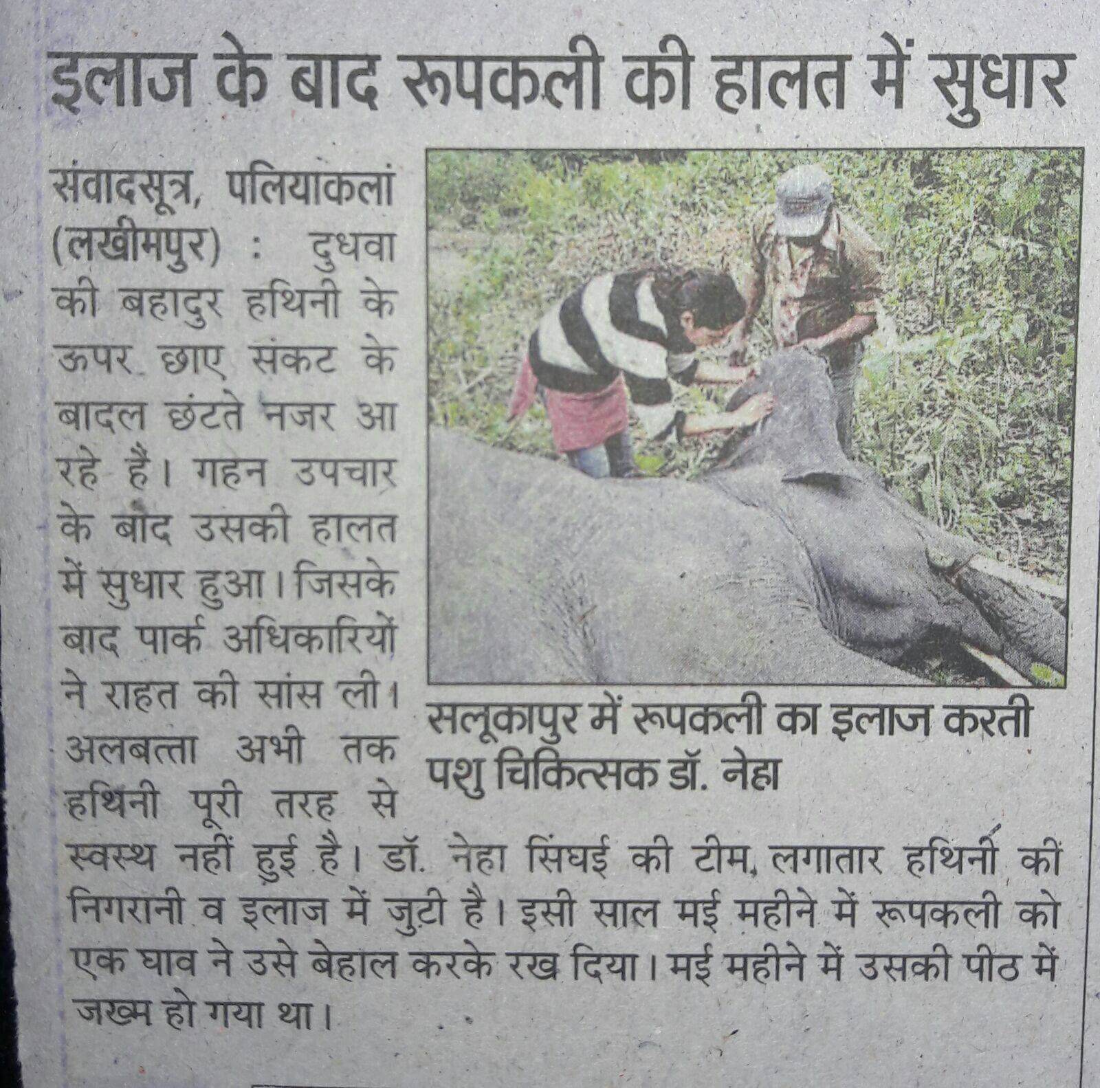 news12_a4mje_1600