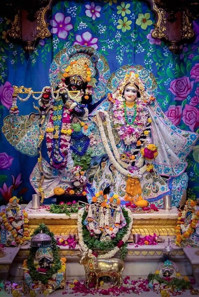 e599180ad931700b75a5f75b45900311_y4otq_643