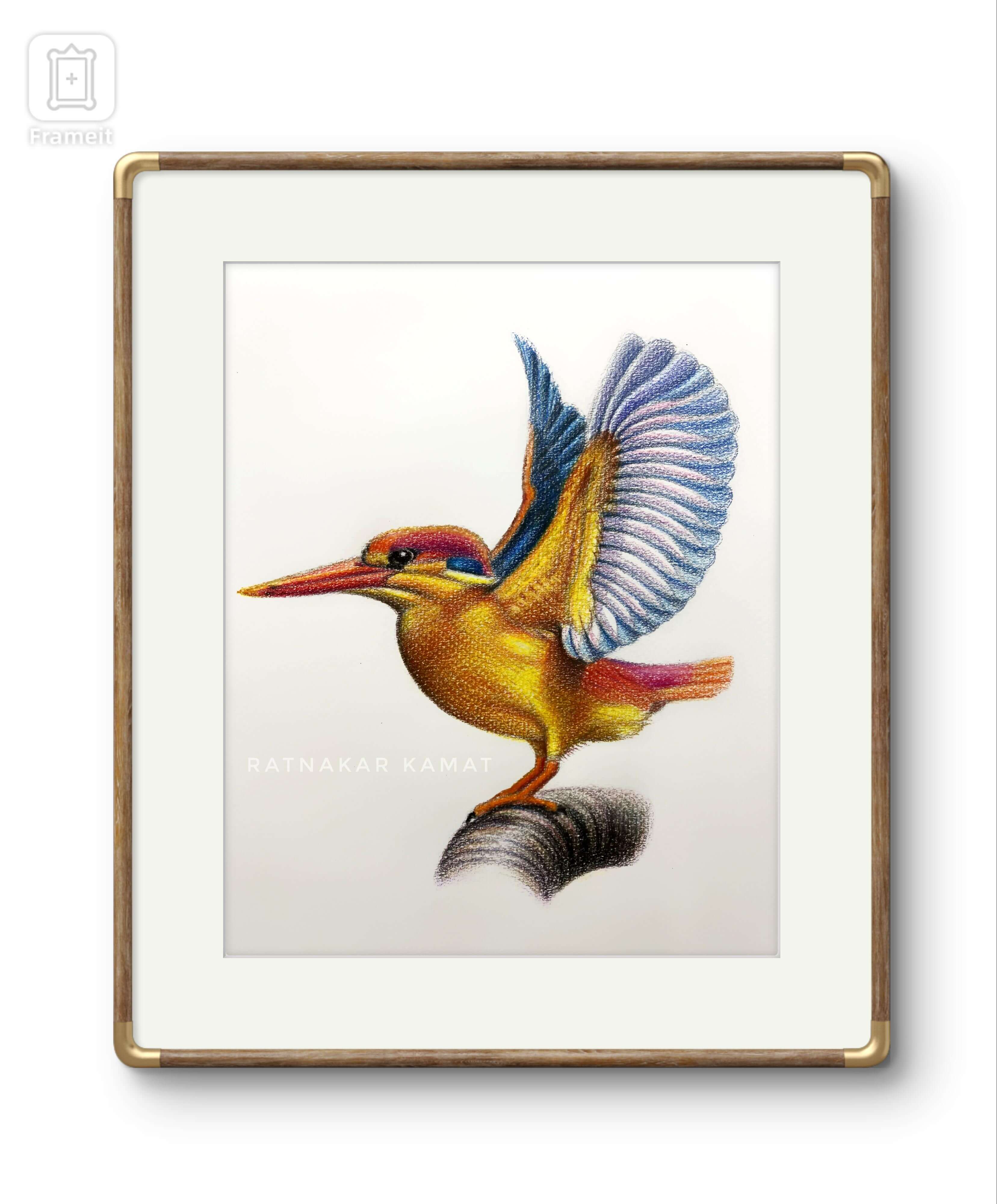 WhatsAppImage20250913at5_k1ota_3313