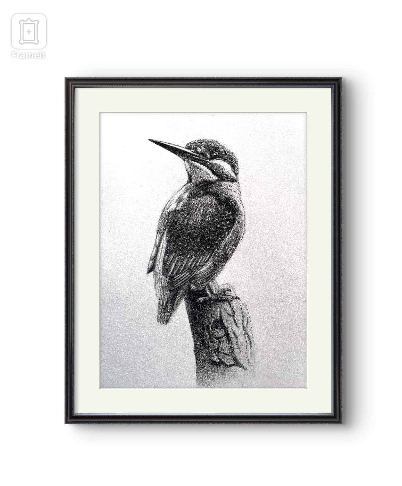 WhatsAppImage20250913at5_kymzy_1657