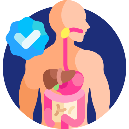 digestivesystem_q1mtc_512