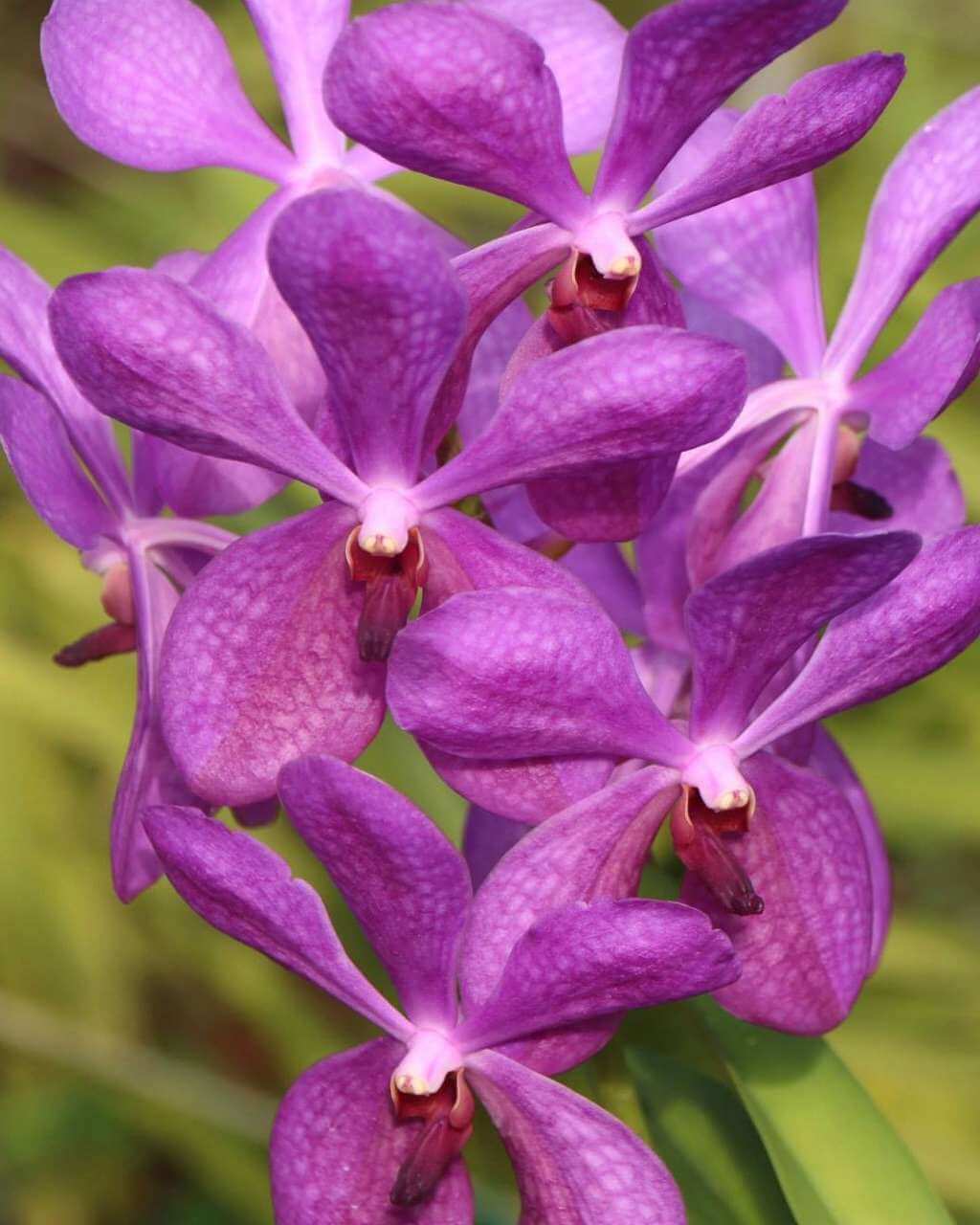 13ED6ED91AAA4F1C8F40DCEA030D62C61201a_ewotq_1024