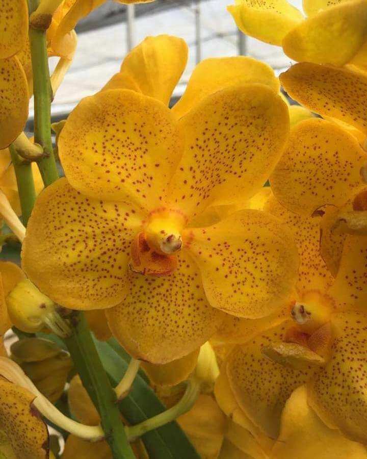 96D5F253A2C041F3B36A836E931104D71201a_i2ote_720