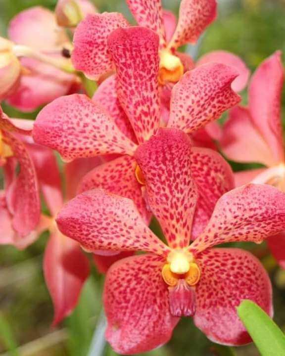 C1B271C90E754D27BFD12665452C7A0C1201a_k4ntq_576