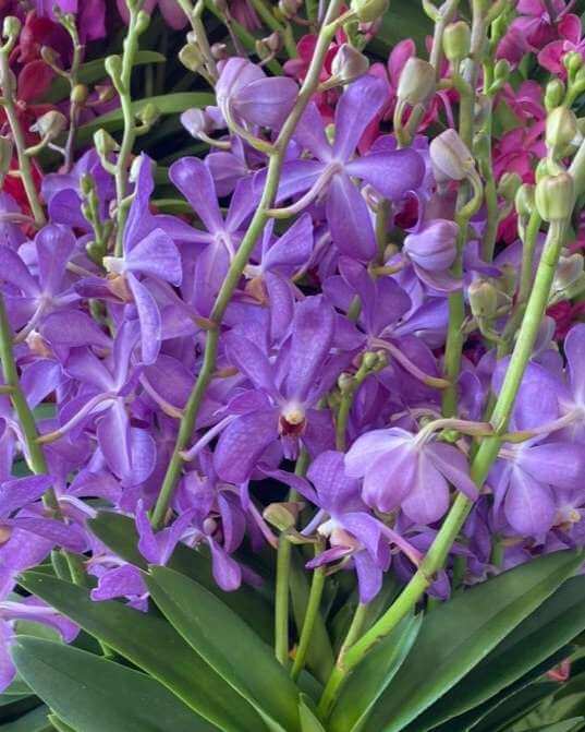 E2DA50FDD9EB4A0297DE7BFFCA1263231201a_g0mdk_537