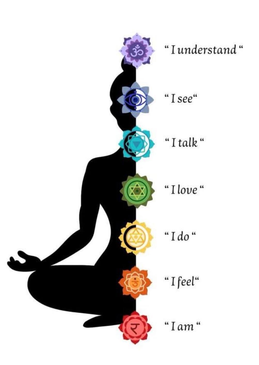 WhatsAppImage20260110at6