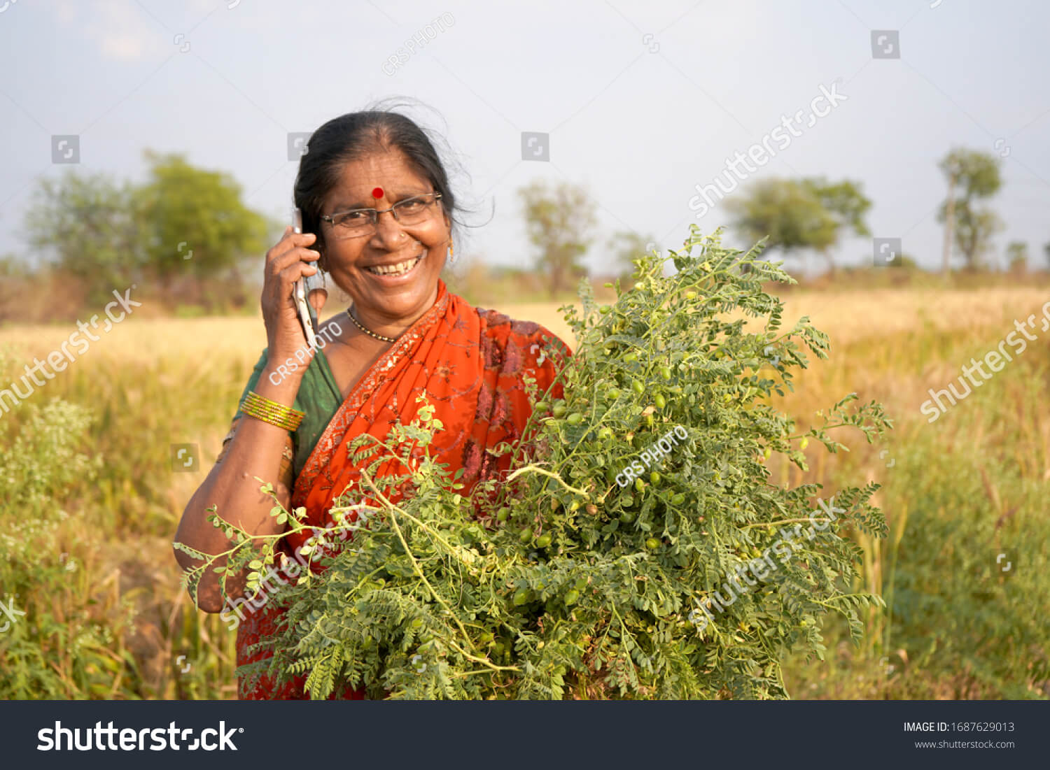 stockphotohappyindianwomanfarmerinherwheatfieldmaharashtraindia1687629013_eymjc_1500