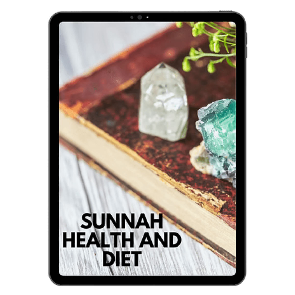 Untitleddesign6_e1ndi_1156