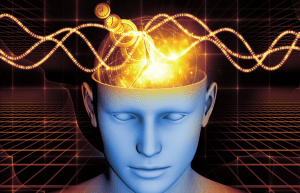 300x193FlexiLP_uwmzm_300