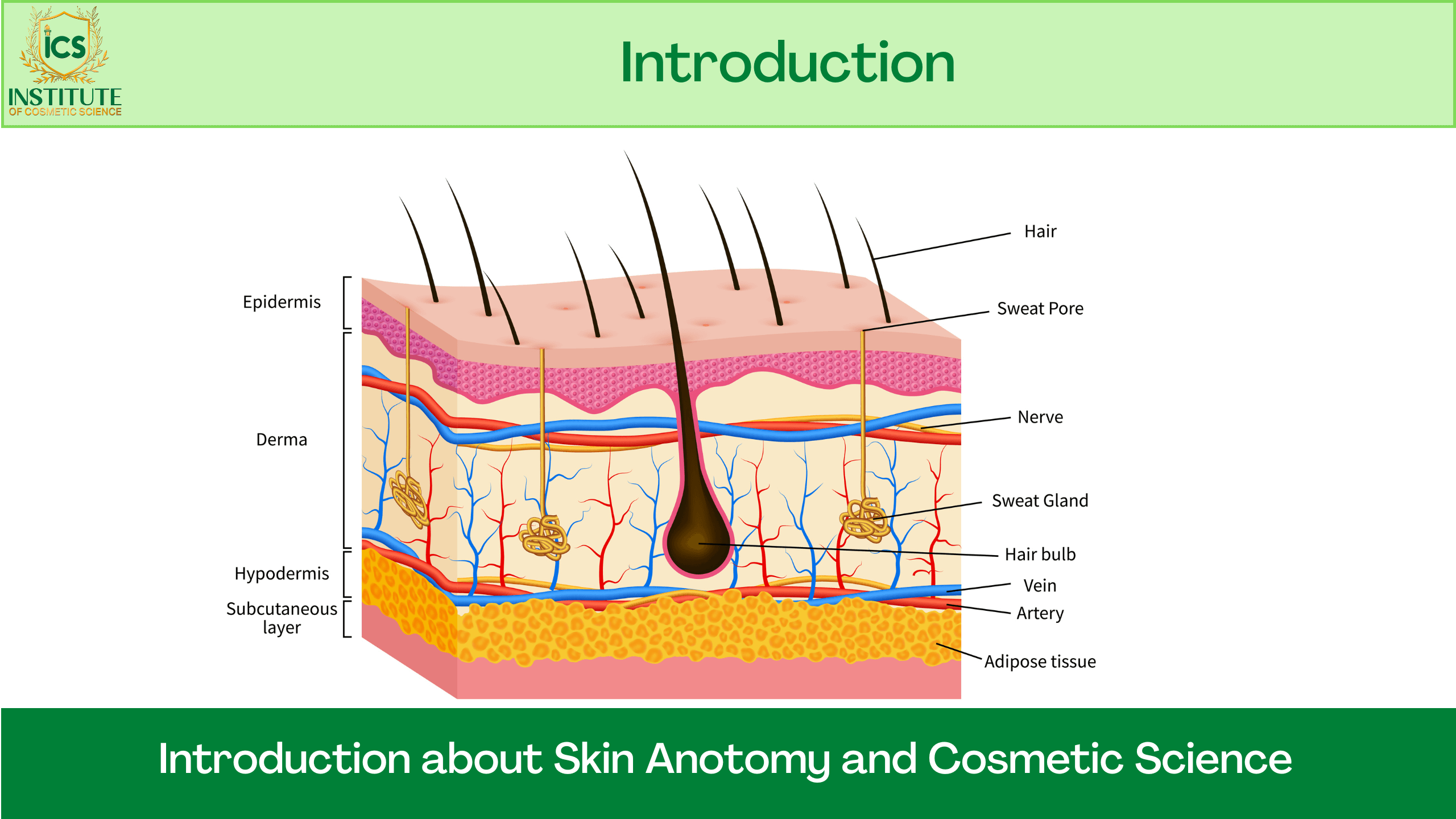 CopyofDiplomaInSkincareFormulationCoursemobilemockup_ezmdc_2560