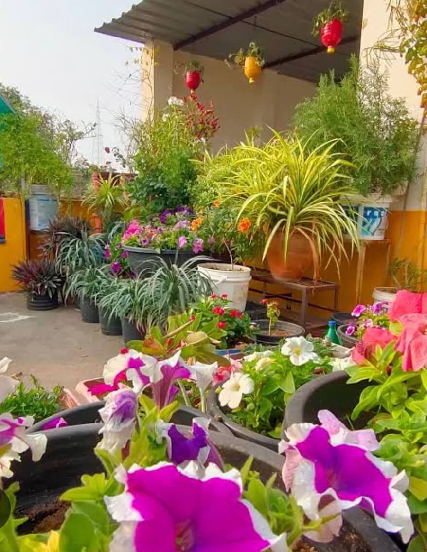 WhatsAppImage20250614at1_a4nju_878