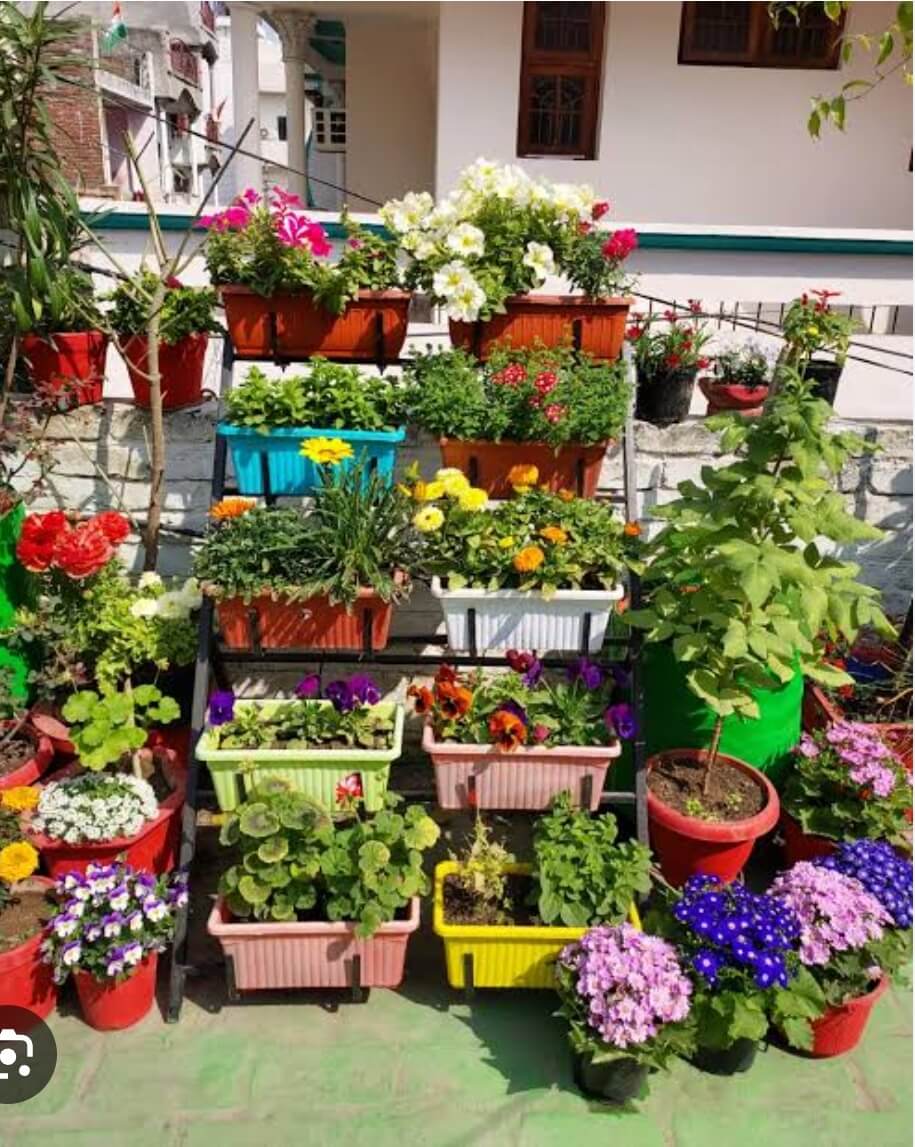 WhatsAppImage20250614at1_exmtu_915