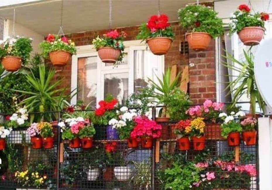 WhatsAppImage20250614at1_kzodi_929