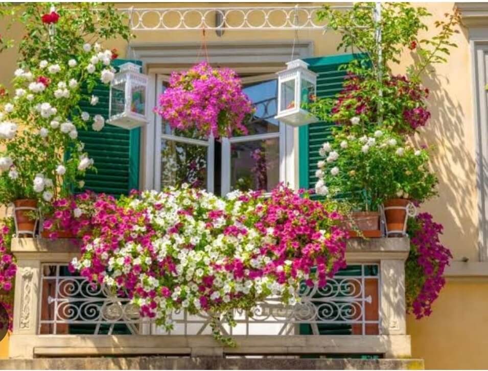 WhatsAppImage20250614at1_m1ntm_955