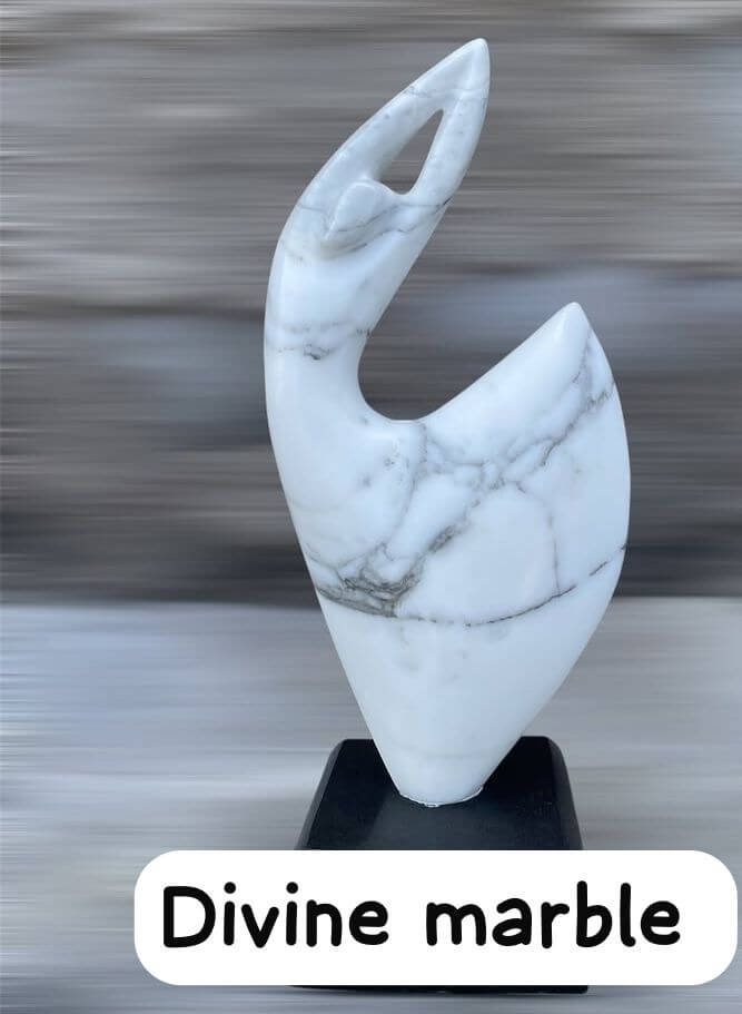 WhatsAppImage20251023at16_qwndc_667