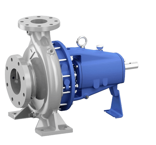 24removebgpreview_iwmzi_517