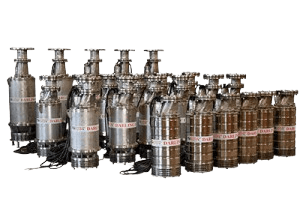 DarlingPumpremovebgpreview_a5mjq_300