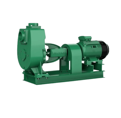 SPCOUPIE4removebgpreview_mwmzc_487