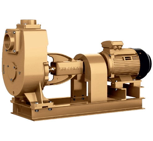 SPCOUPLremovebgpreview_q4ndi_494