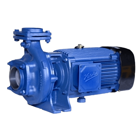 kdI2removebgpreview_cynja_492