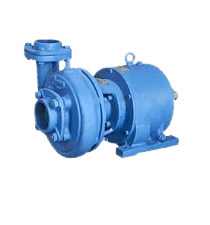 laxmiladaremovebgpreview_a0mtc_210