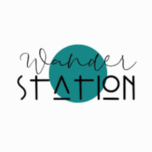 logo2_iwmdg_500