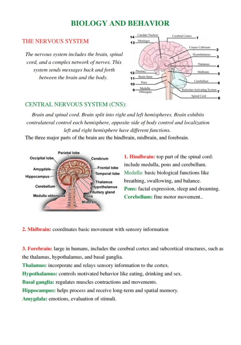 Psychology Notes Preview Sample 4