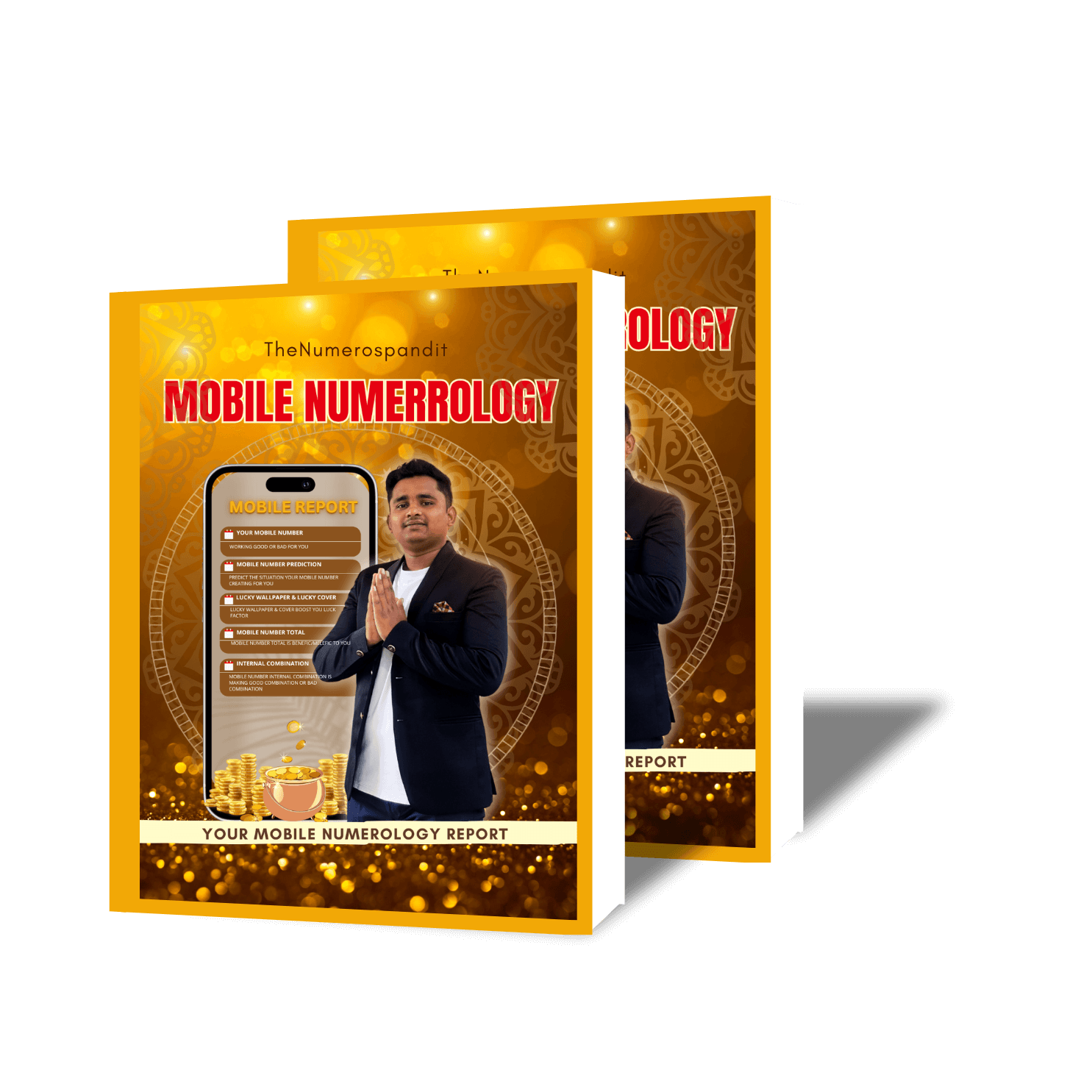 TheNumerosPandit1080x1080px4_y5oti_1485