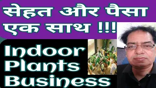 IndoorPlantBusiness_g3mdy_320