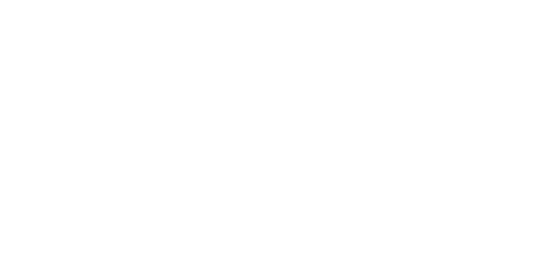 1000320365_q1ntg_500