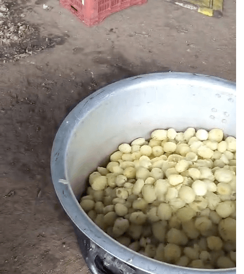 Screenshot20250721at8_czmdi_494