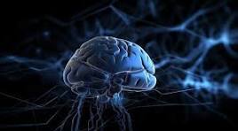 bluebackground_kxnzg_268