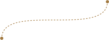 ezmjc374Curveline1_a1njq_374