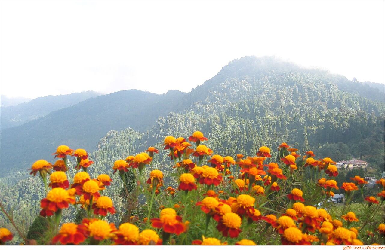 1280pxRacheLafromKagyuThekChenLingMonasteryYear2009_g1ntk_1280