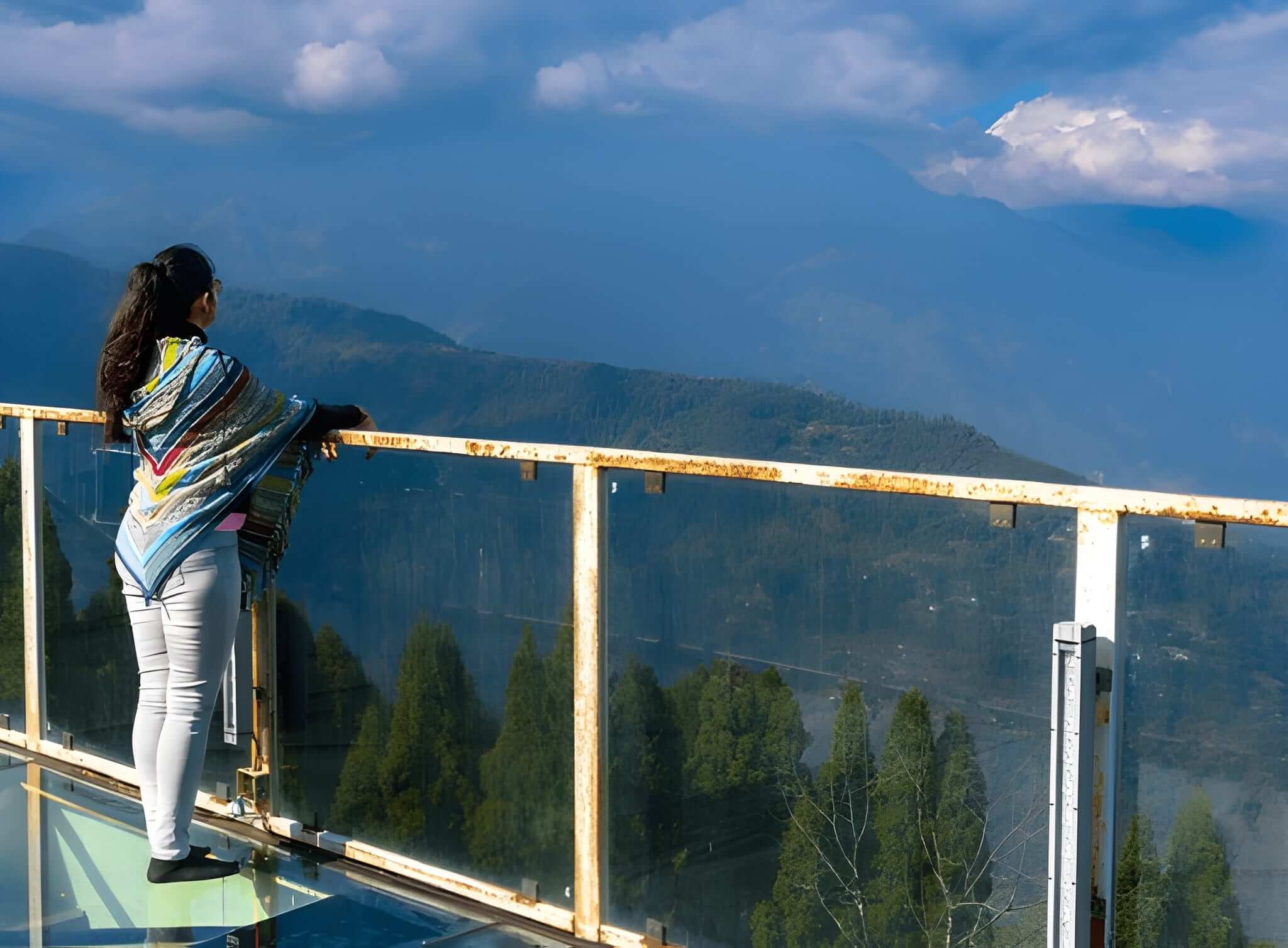 pellingskywalkview_a0mju_2048