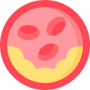cholesterol_y3njm_128